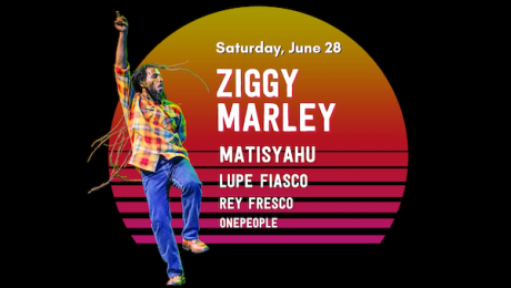Ziggy Marley